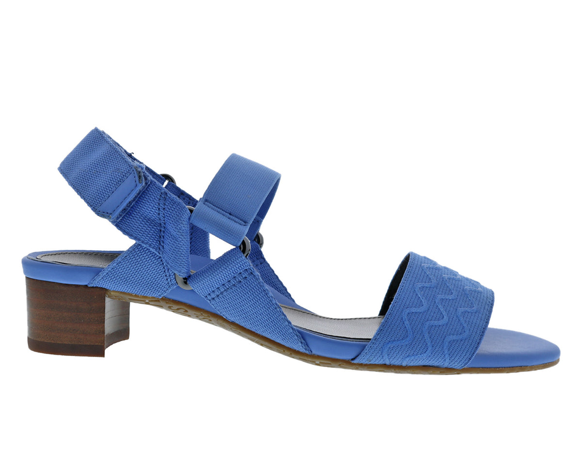#Color_Blue Elastic