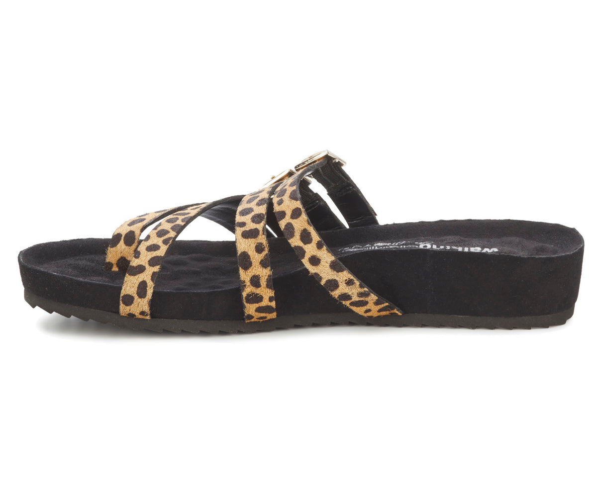 #Color_Cheetah Print