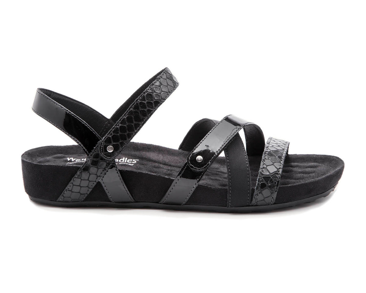 #Color_Black Multi Leather